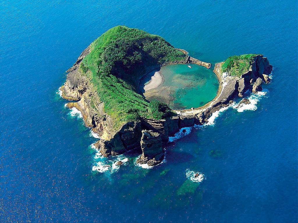 Wale und Delfine hautnah erleben auf São Miguel & Pico (mit Mietwagen) 4