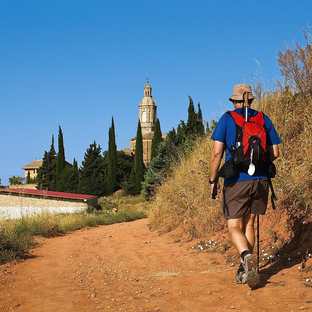 Wandern auf dem Jakobsweg: Camino Portugués ab Tui mit Gepäcktransport & Transfers (Zielflughafen Santiago) 5