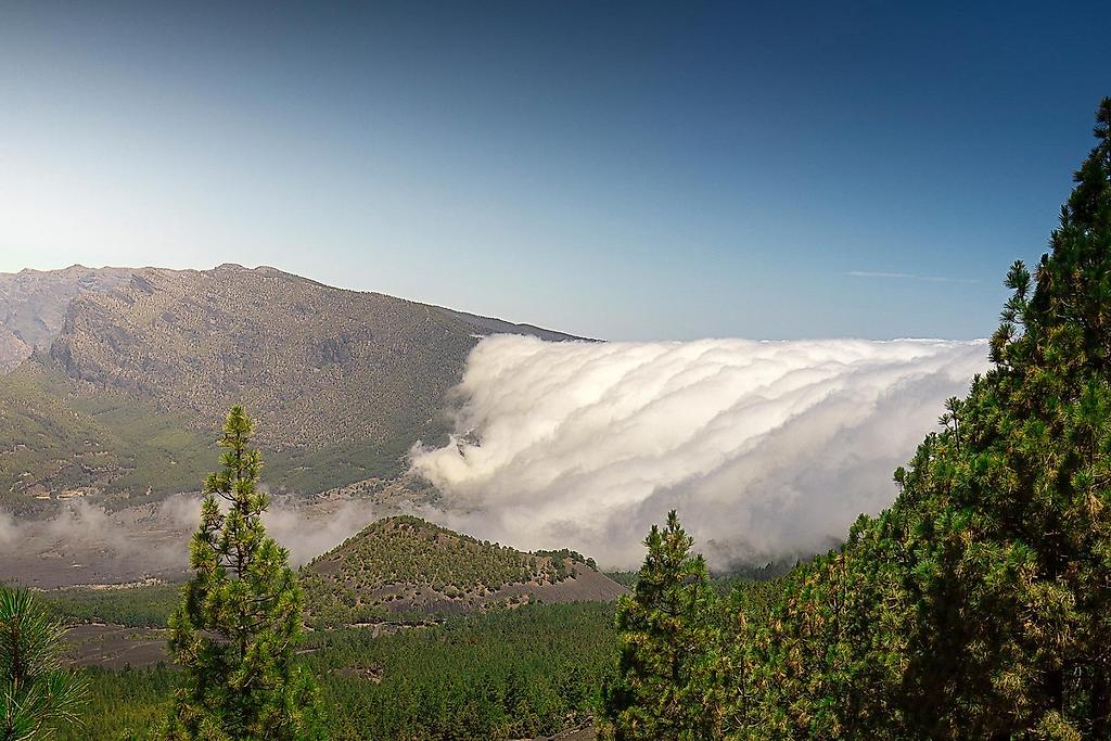 La Palma: Die schönsten Wanderwege der Isla Bonita 3