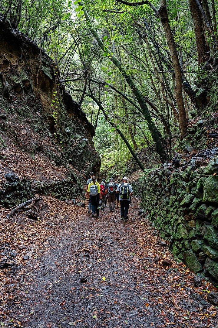 La Palma: Die schönsten Wanderwege der Isla Bonita 5