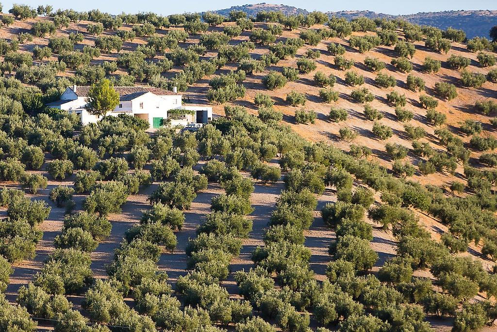 Die klassische Andalusien-Tour 4