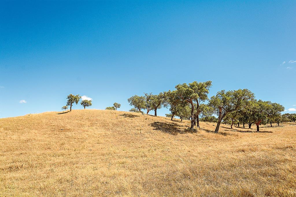 Pousada Rundreise Alentejo 2