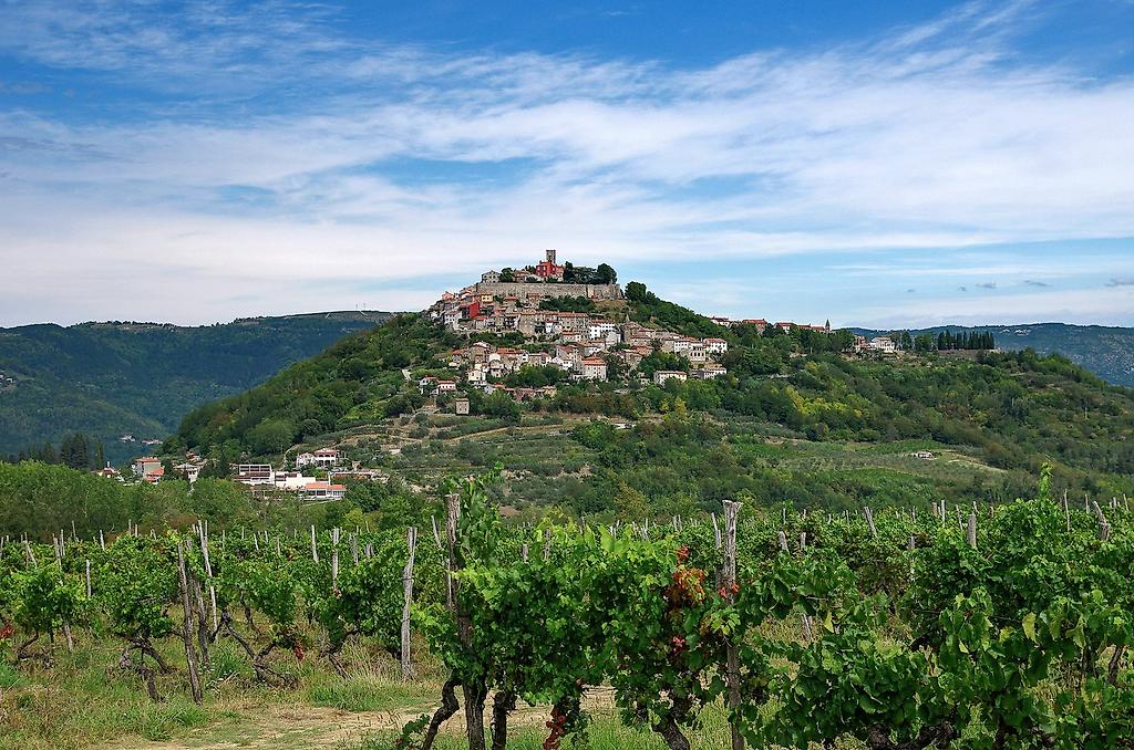 Wein, Kultur und Küstenzauber in Istrien und der Kvarner Bucht 4