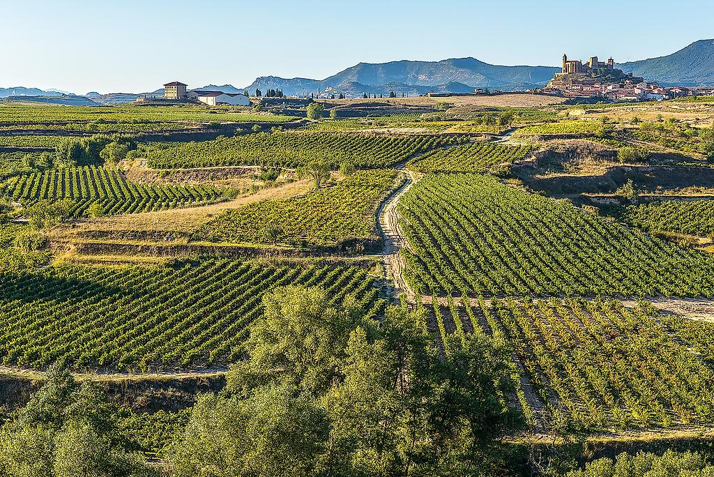 Von Madrid nach Nordspanien: Stolze Städte, feine Weine 5