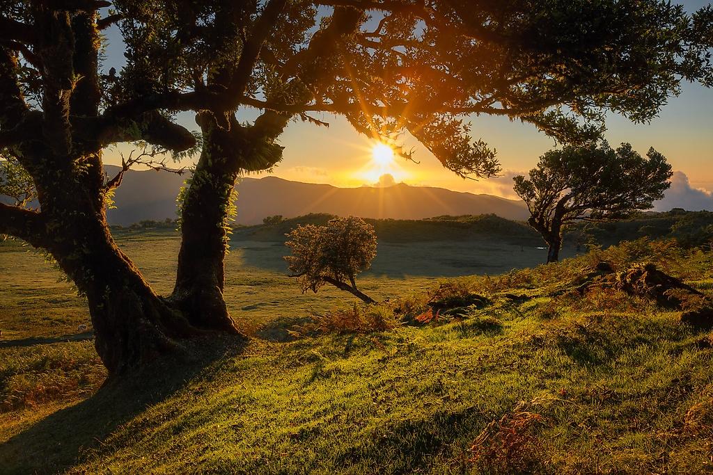 Madeira – Natur erleben, Kultur entdecken 2