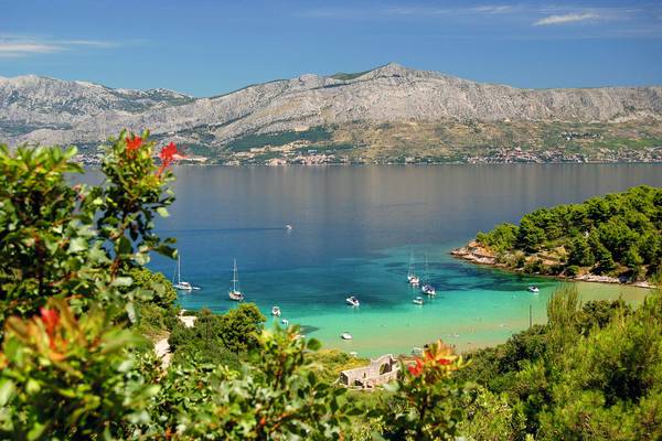 Lovrecina Strand in Dalmatien mit Blumen im Vordergrund