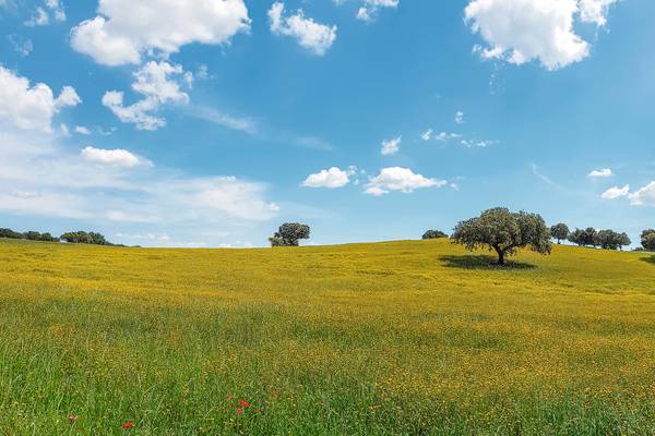 Alentejo, Portugal