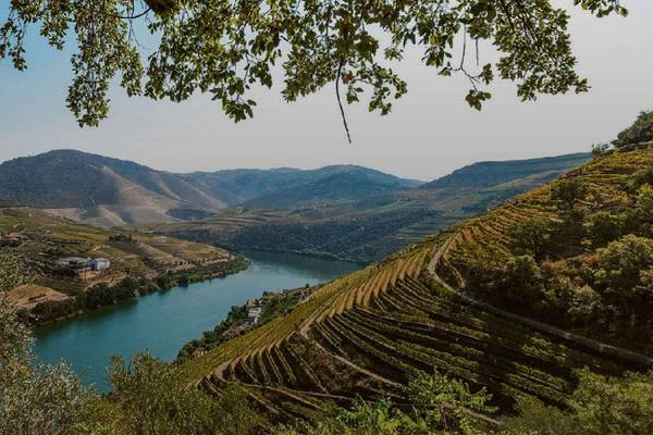 Dourotal in Nordportugal