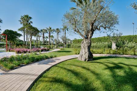 Savoy Beach Hotel, Savoy Beach Hotel,