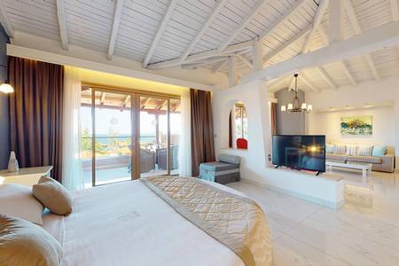 Athena Pallas, Executive