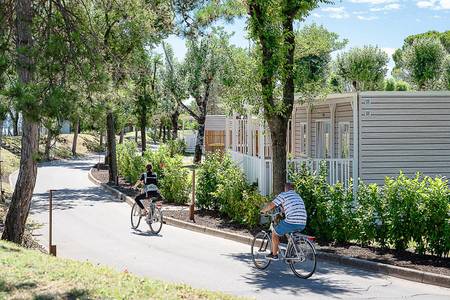 Tenuta Primero Grado Family Collection, sonstige Tenuta Primero Grado Family Collection, sonstige