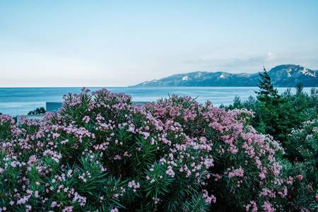 Hotel I Ginepri, sonstige