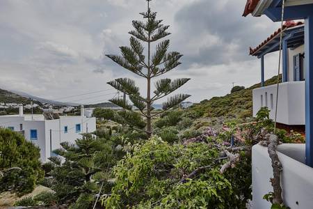 Irene Studios Andros, Resort/Hotelanlage