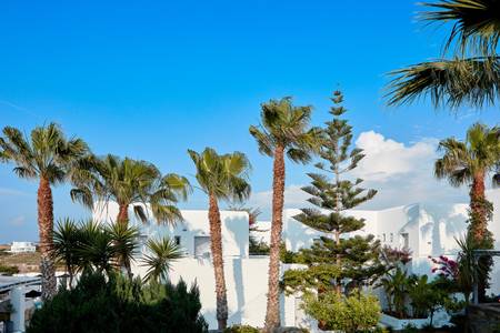 Mr & Mrs White Paros, Resort/Hotelanlage