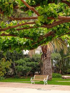 Marathon Beach Resort, Gepflegte, grüne Gartenanlage des Hotels in der Region Athen (ATH).