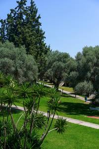 Palmariva Beach Hotel, öffentliche Bereiche