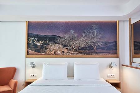 Olive Green Hotel, Urban Executive
