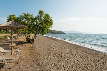 Delfinia Hotel & Bungalows, sonstige