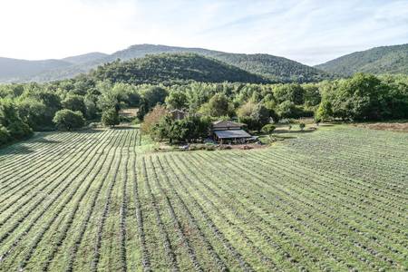 Podere Campalfi, sonstige