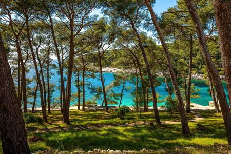 Hotel Aurora, öffentliche Bereiche Hotel Aurora, öffentliche Bereiche