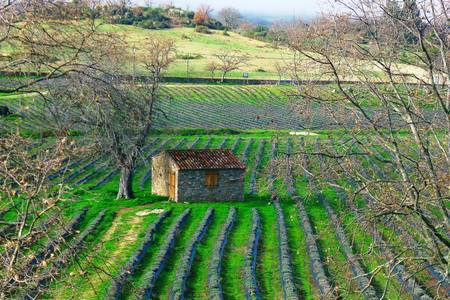 Quinta das Lavandas, öffentliche Bereiche Quinta das Lavandas, öffentliche Bereiche