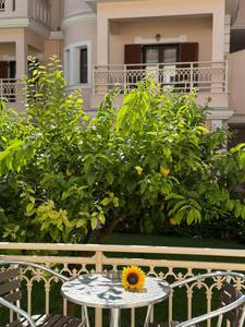 Sifakis House, Wohnbeispiel Sifakis House, Wohnbeispiel