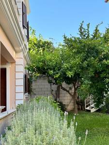 Sifakis House, Resort/Hotelanlage Sifakis House, Resort/Hotelanlage