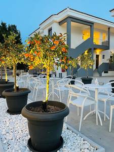 Lily Ann Village, Restaurant/Gastronomie Lily Ann Village, Restaurant/Gastronomie