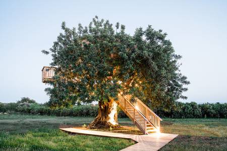 Conversas de Alpendre, öffentliche Bereiche