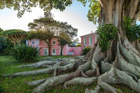 Solar dos Cantos Botanic House & Garden, öffentliche Bereiche Solar dos Cantos Botanic House & Garden, öffentliche Bereiche