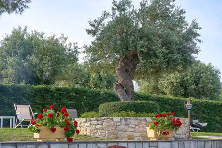 Mirabilia Boutique Hotel, sonstige Mirabilia Boutique Hotel, sonstige