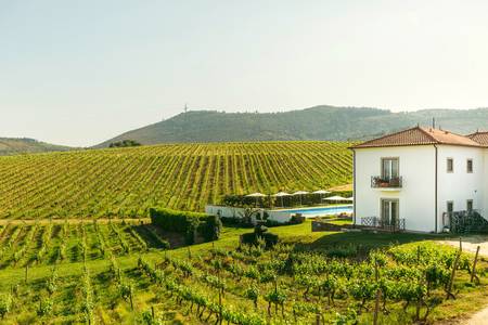 The Manor House Celeirós, Resort/Hotelanlage The Manor House Celeirós, Resort/Hotelanlage