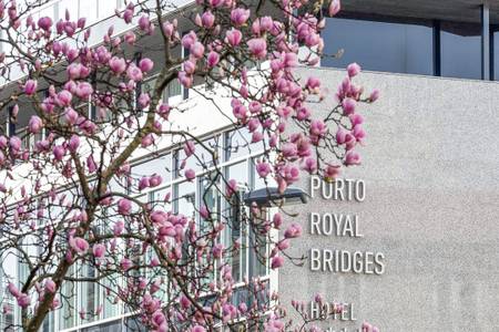 Porto Royal Bridges, Resort/Hotelanlage