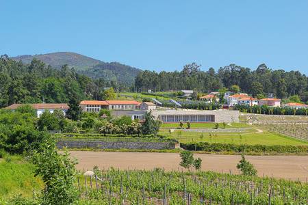 Lousada Country Hotel, Resort/Hotelanlage