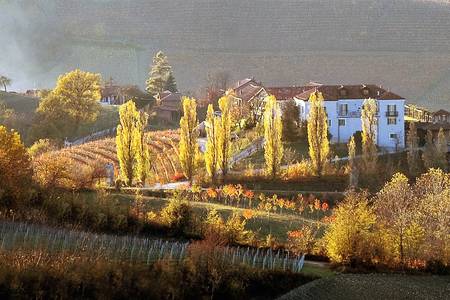 Podere Luigi Einaudi, Resort/Hotelanlage