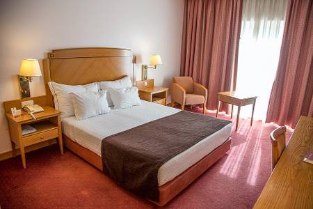Hotel Régua Douro, Wohnbeispiel