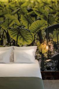 Senhora da Rosa Tradition & Nature Hotel, Standard