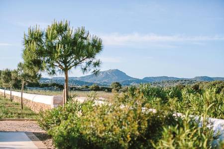 Santa Ponsa Fontenille Menorca, Resort/Hotelanlage