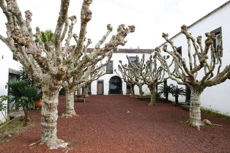 Convento de São Francisco, Patio