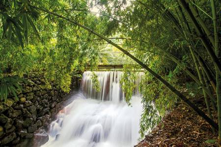 Quinta da Mó,