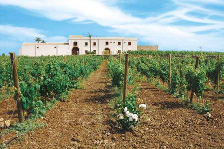 Baglio Donna Franca Wine Resort, Resort/Hotelanlage