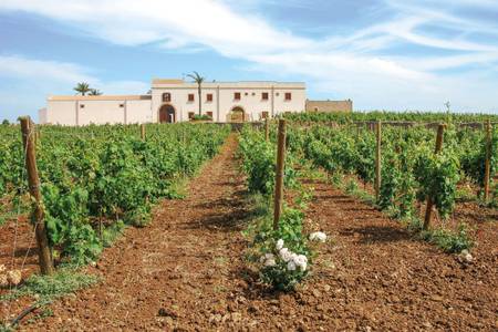 Baglio Donna Franca Wine Resort, Resort/Hotelanlage