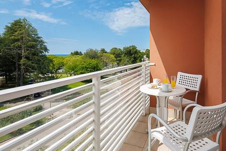 Hotel Albatros Plava Laguna - Zelena Resort, Wohnbeispiel