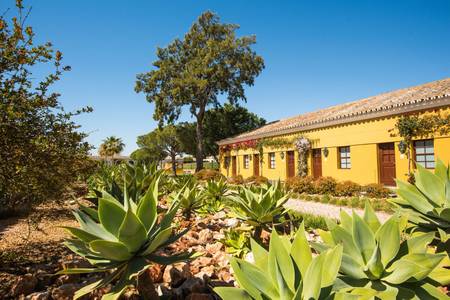 Vila Galé Albacora, Resort/Hotelanlage