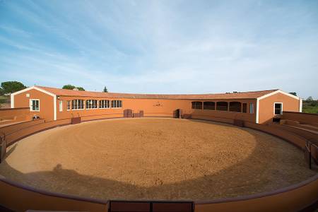 Vila Galé Alentejo Vineyards, sonstige Vila Galé Alentejo Vineyards, sonstige