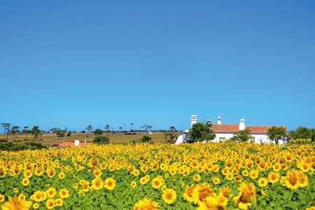 Herdade do Touril, Resort/Hotelanlage