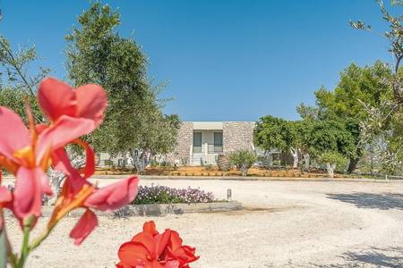 Achilles Hill Hotel, Resort/Hotelanlage