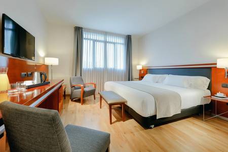 Hotel Abba Euskalduna, Deluxe