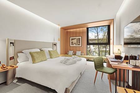 Protur Naisa Urban Hotel Palma, Standard
