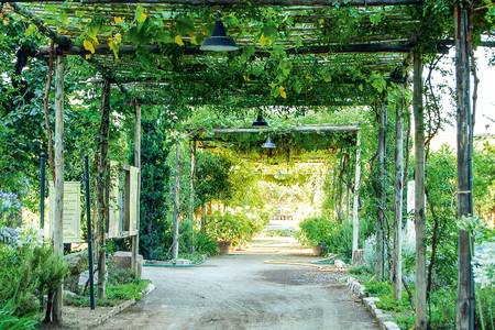 Hotel Domus Sessoriana,